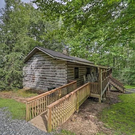 Cozy 'Grey Fox' Cabin Between Boone & Blowing Rock Bagian luar foto