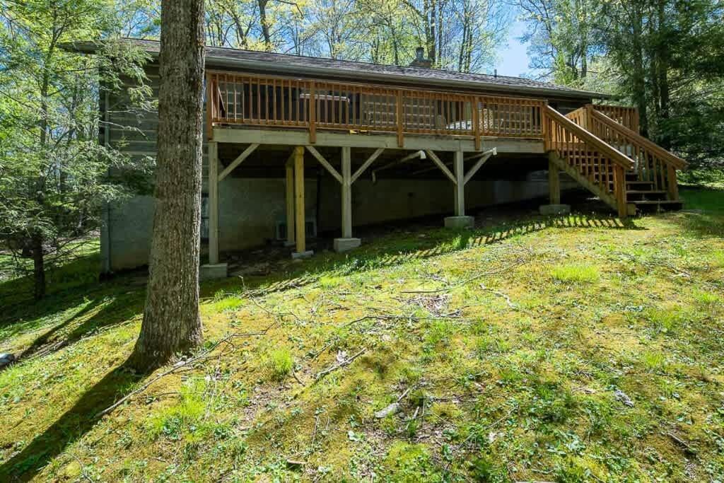 Cozy 'Grey Fox' Cabin Between Boone & Blowing Rock Bagian luar foto